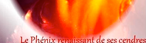 © Describe Adonis Press