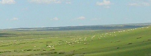 inner mongolia