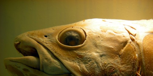 Featured Image -- 2877